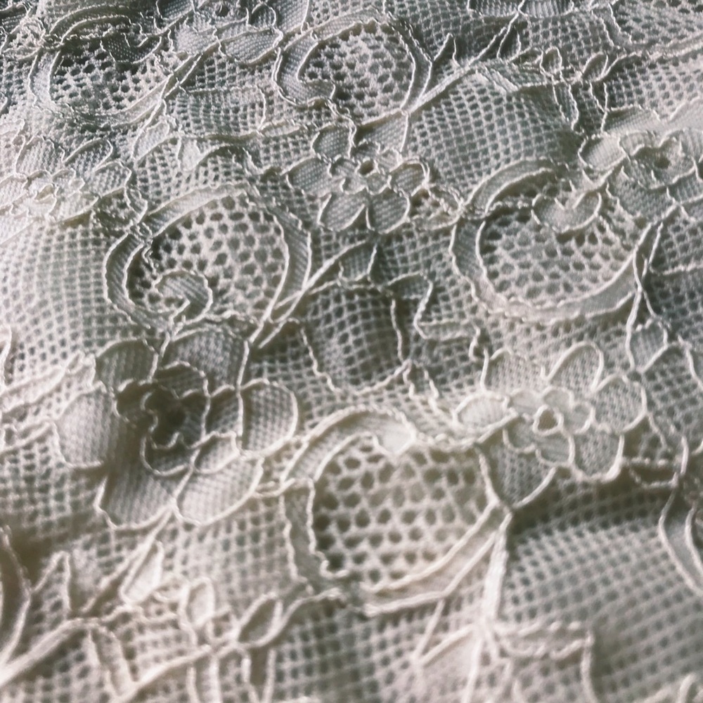 Ivory Lace Skater Dress (Torrid) - Picture 2 of 3
